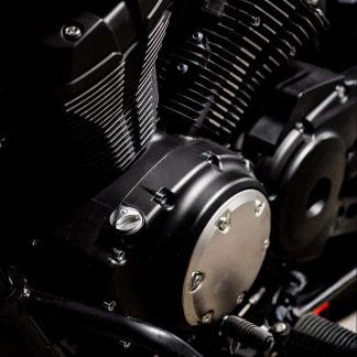 Yamaha Bolt Engine DressUP Kit